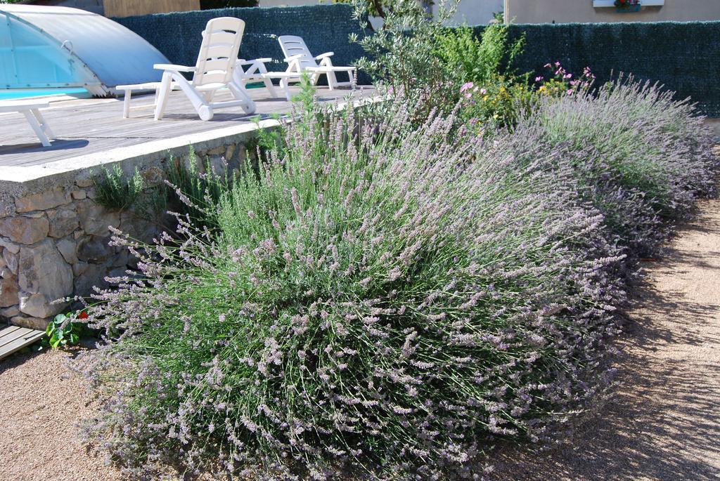 Les Terrasses De Castelmerle Niaux Exterior foto